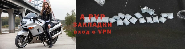 стафф Алзамай