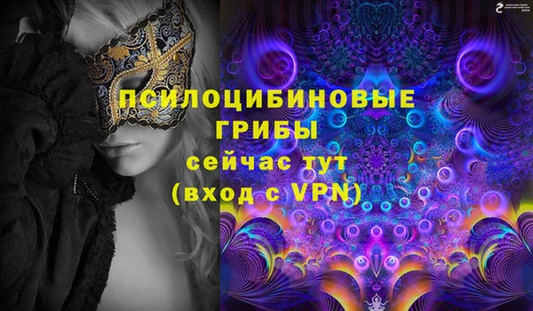 спиды Алексеевка